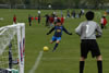 Vaisakhi mela 2008